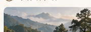 冰岛古茶山